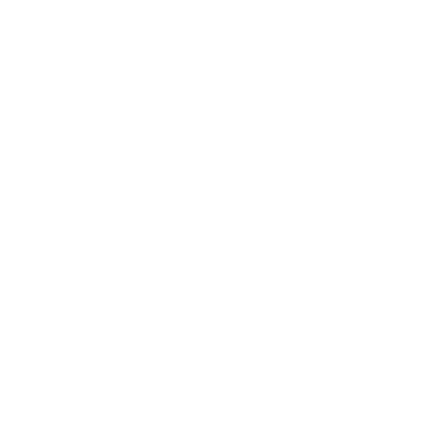 Project Management